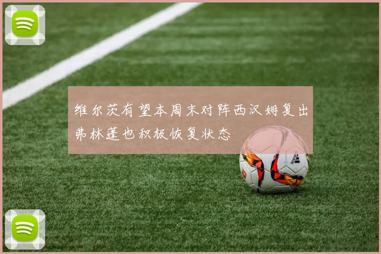 维尔茨有望本周末对阵西汉姆复出弗林蓬也积极恢复状态