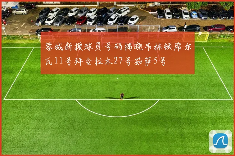 蓉城新援球员号码揭晓韦林顿席尔瓦11号拜合拉木27号茹萨5号