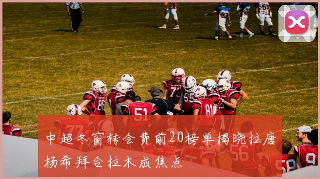 中超冬窗转会费前20榜单揭晓拉唐杨希拜合拉木成焦点