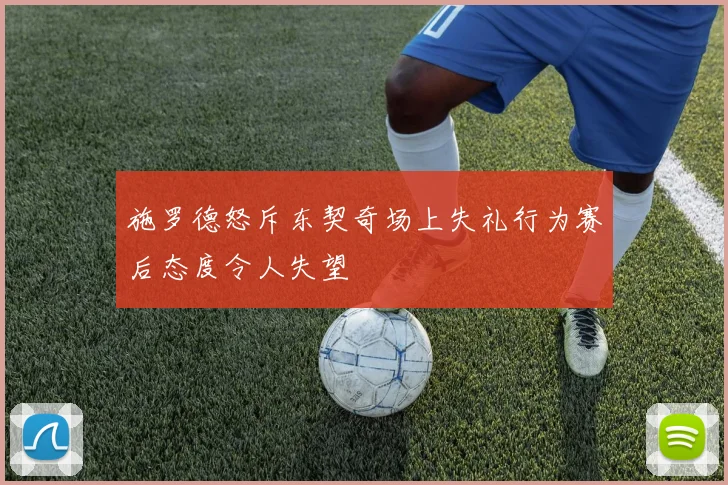 施罗德怒斥东契奇场上失礼行为赛后态度令人失望
