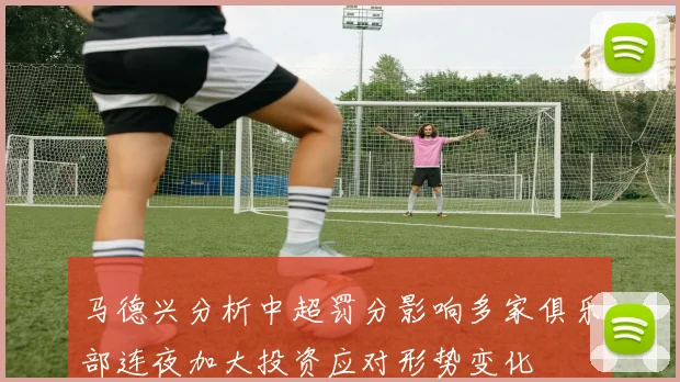 马德兴分析中超罚分影响多家俱乐部连夜加大投资应对形势变化