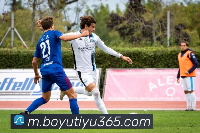 博鱼体育平台生态图