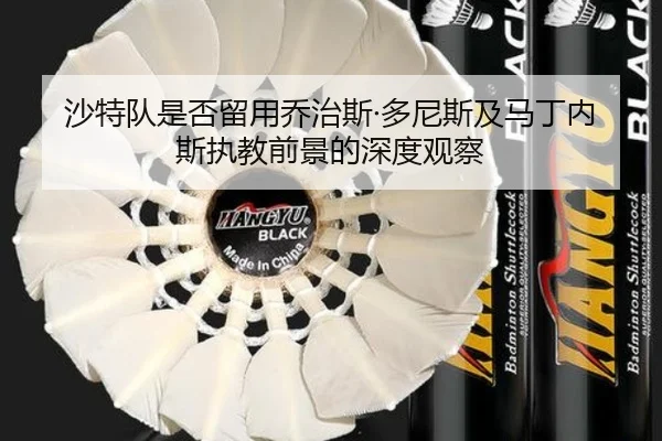 沙特队是否留用乔治斯·多尼斯及马丁内斯执教前景的深度观察